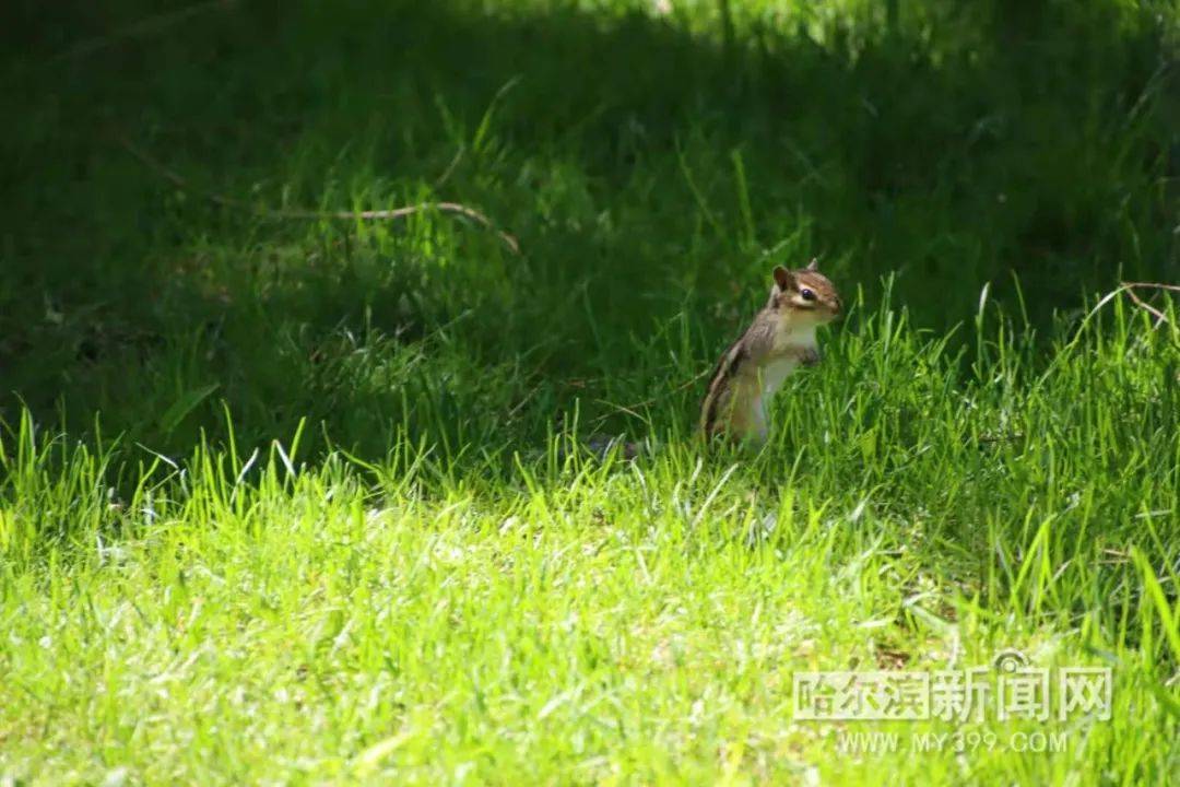 美国霹贴资天峰会,今年精英聚焦探讨未来趋势与机遇,美国霹贴资天峰会聚焦未来趋势与机遇,精英齐聚探讨发展之路