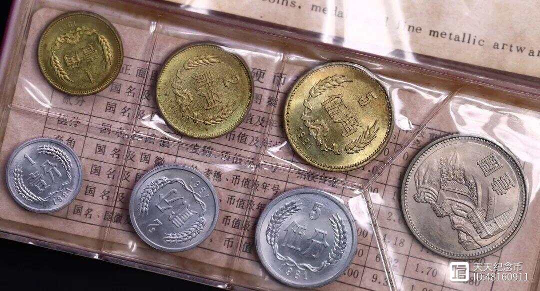 数春央王币打片，深度解析与SEO优化策略，数春央王币打片深度解析与SEO优化策略探讨