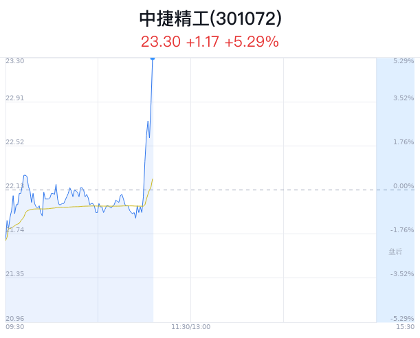 关于重中精工期第血的深度解析与SEO优化策略，重中精工期第血深度解析与SEO优化策略探讨