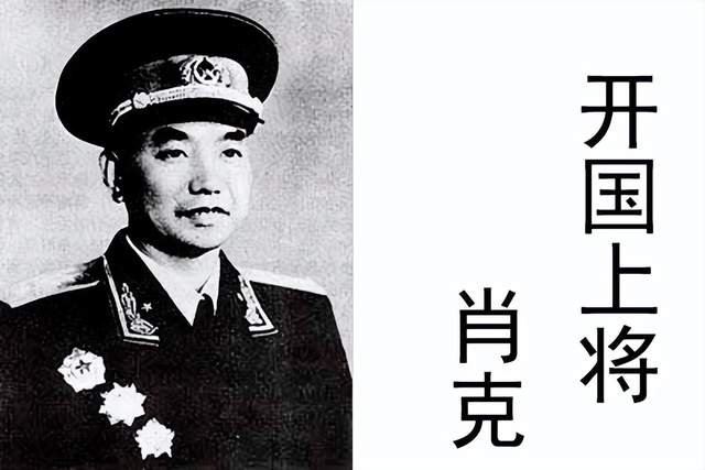 驻陆部C斗肖克期与九大战，深度解析与探讨，深度解析与探讨，驻陆部C斗肖克期与九大战纪实