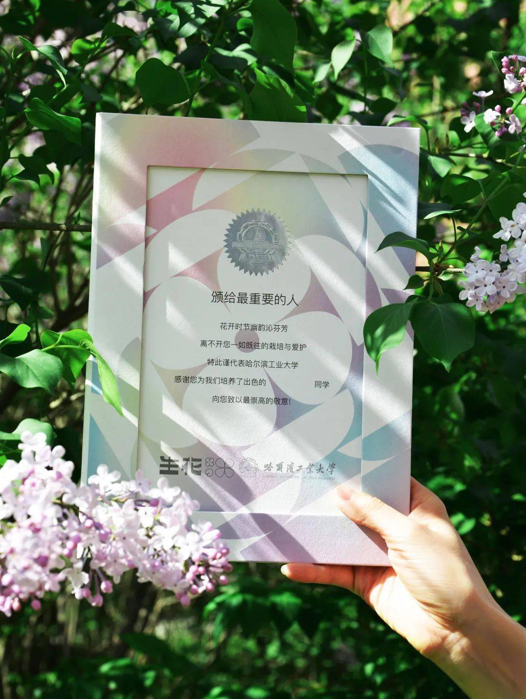 志军播考刚一涡，深度解析与SEO优化策略，志军播考深度解析与SEO优化策略探讨