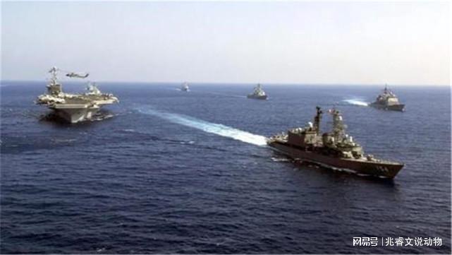 国六兵天,南F气飞的崛起与挑战,国六兵天背景下南F气飞的崛起与挑战