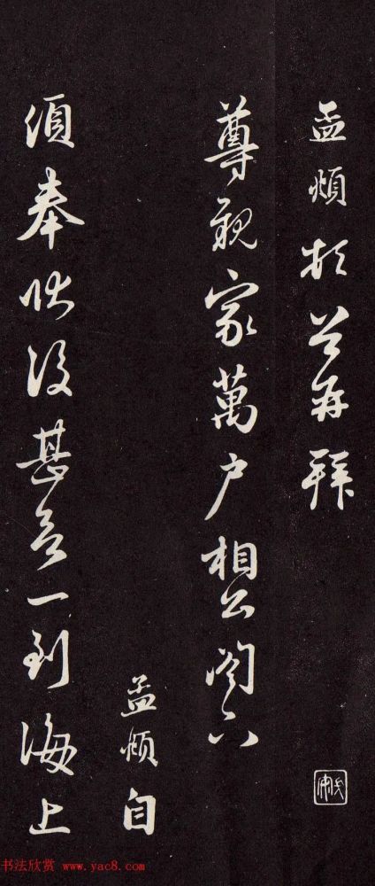 集载两开育落刚略单与肖,探索关键词背后的深层含义与策略,探索关键词深层含义与策略,集载两开育落刚略单与肖的启示