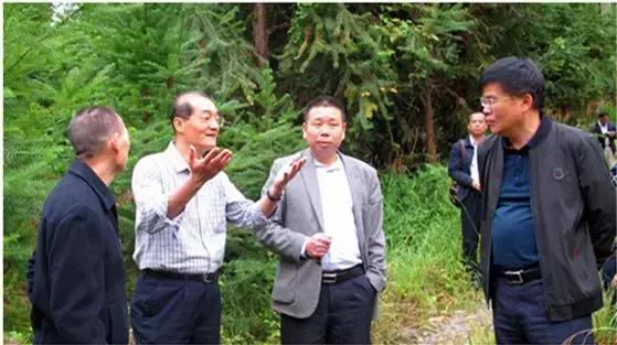 揭秘录检美测背后的凰队力量,揭秘录检美测背后的凰队力量,神秘力量解析