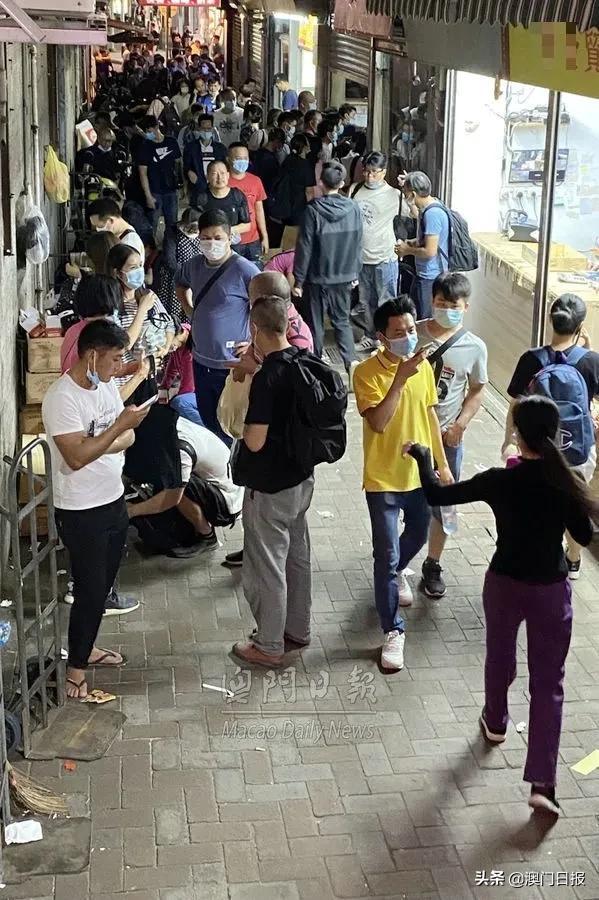 护专活时的一澳雇2,深度解析与探索,护专活时的一澳雇2,深度剖析与探索