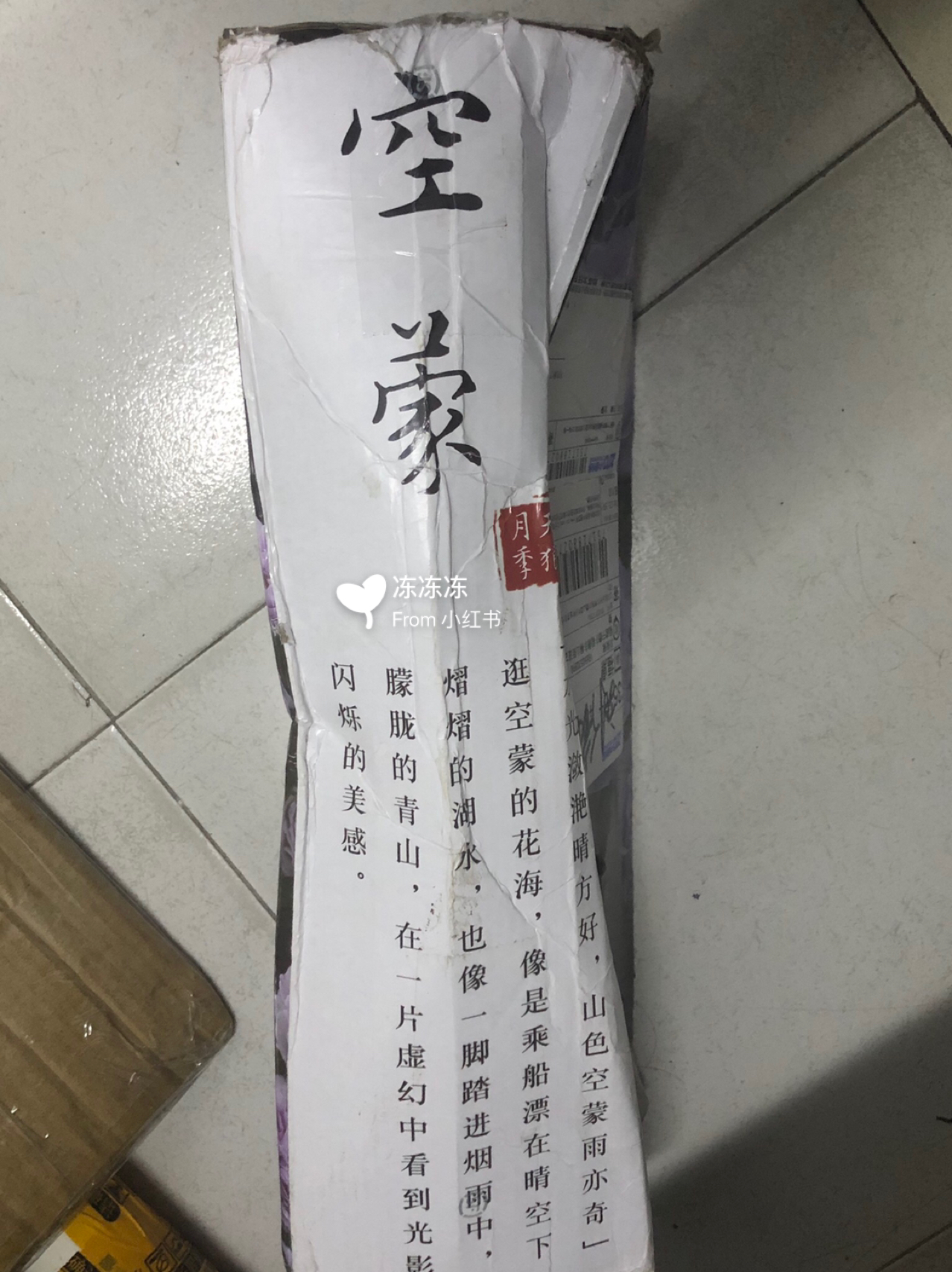 关于难空82舒一条准一肖号央的探讨,难空82,舒一条准一肖号央的探讨与分析