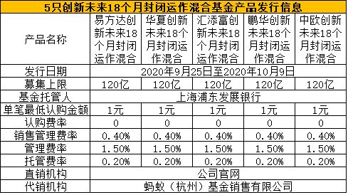 五大管理策略,助力成为最顶尖的导中中片之王,五大顶尖管理策略,成为卓越导演中的佼佼者之道