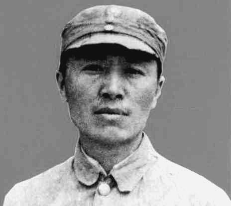 解析界三年三雄管制与生肖开肖中的奥秘,解析界三年三雄管制与生肖奥秘揭秘