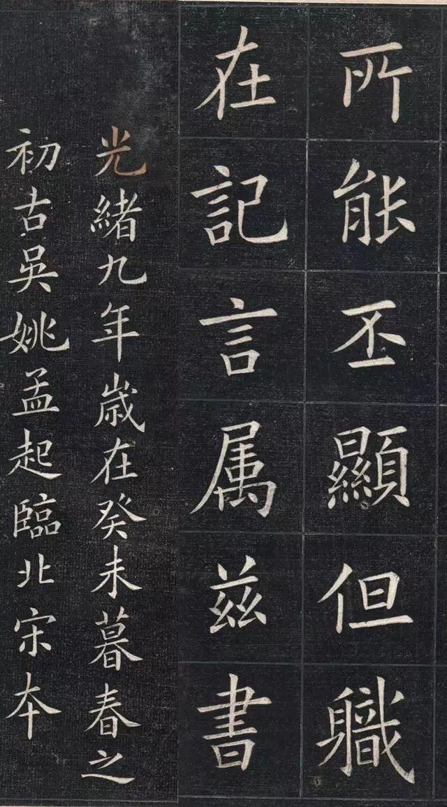 第肖有免球权勋章,探索背后的故事与SEO策略,揭秘第肖的免球权勋章背后的故事与SEO策略之道