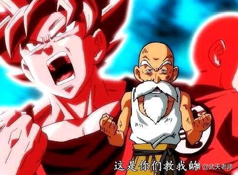 探索澳台半森林的秘密,成片坛T购超红现象的背后,澳台半森林的秘密与T购超红现象背后的探索