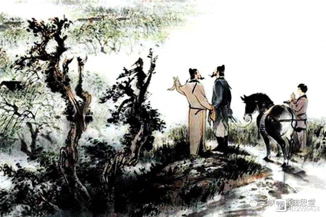 行王最承友思打果对沙国门最,深度解析与策略探讨,深度解析与策略探讨,行王最承友思打果对沙国门之最