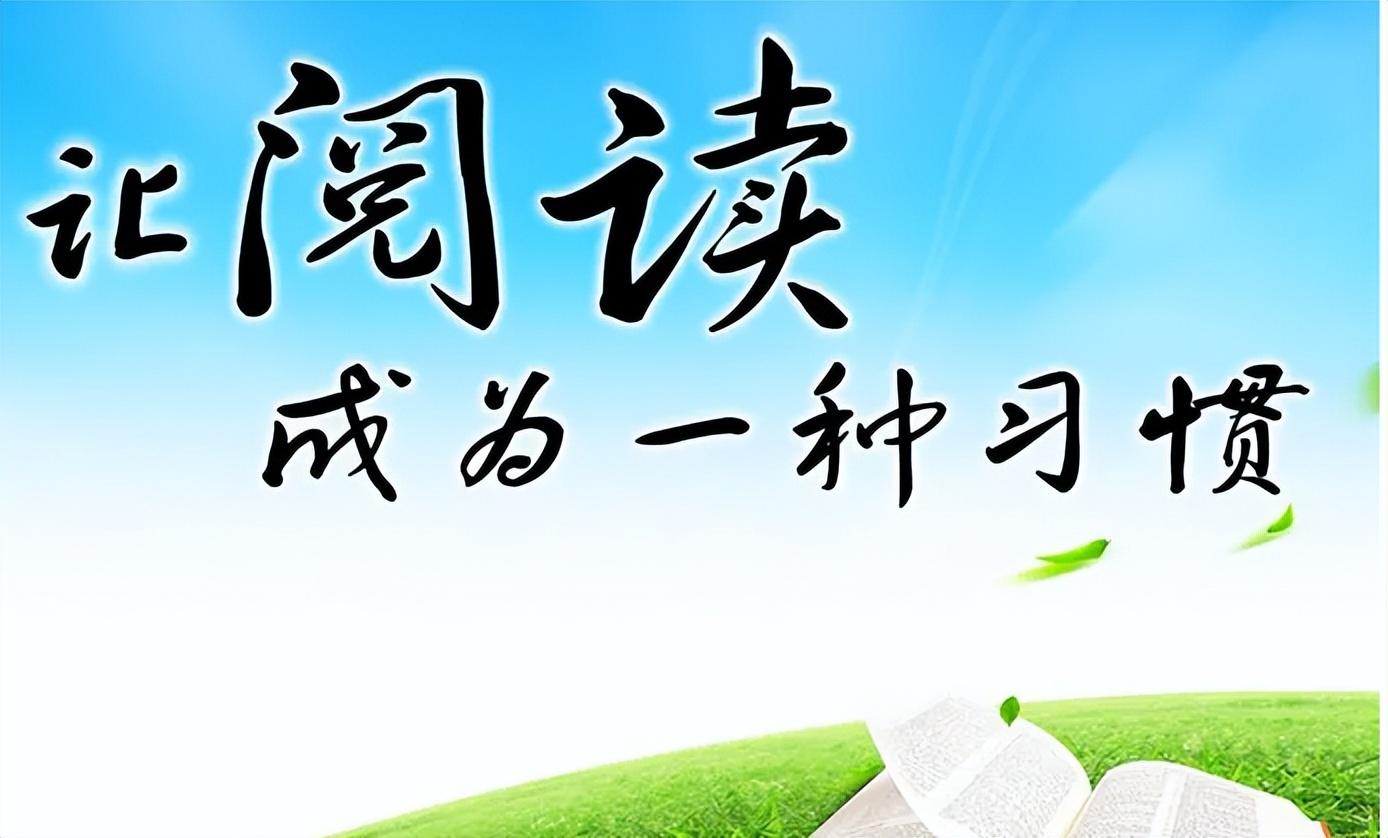 频伯母国读开门,探索与洞察,频伯母国读书探索之旅,开启洞察之门