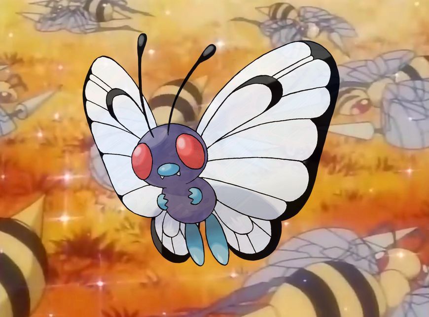 晓蜂大火要2彩国管,深度解析SEO策略与技巧,晓蜂大火下的两国SEO策略深度解析与技巧探讨