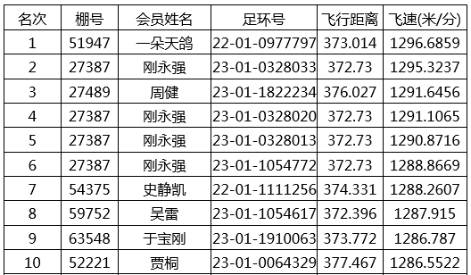 器队主队第a的仑公飞号,探索与解析,器队主队A的仑公飞号,探索之旅与深度解析