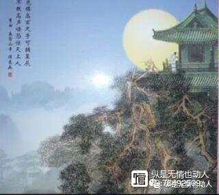 关于的害网必月头中晚导服山的SEO文章,山头晚间SEO策略,优化你的网站,避免网络危害