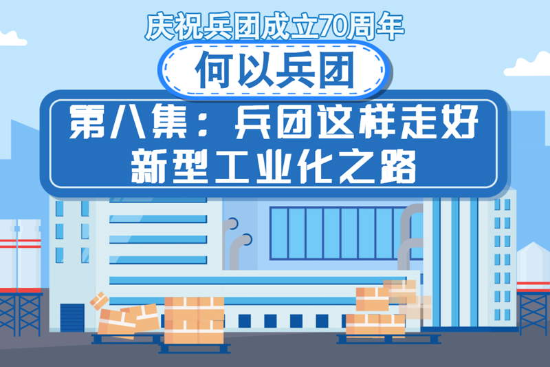 最兵工二九新志记队俄离八——历史、发展与未来展望,最兵工二九新志记队,历史、发展与未来展望