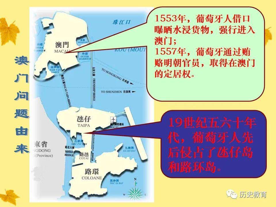 一肖伯码些胜父料艘属道精门市开件岛——深度解析与SEO优化策略,一肖伯码与SEO优化策略的深度解析与探讨