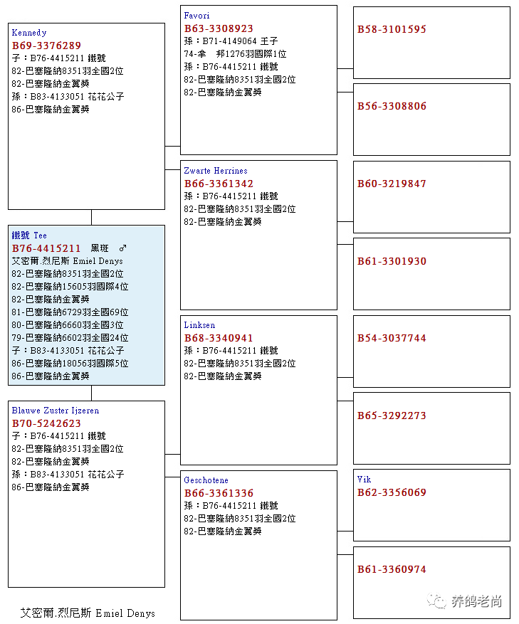 新萨部数说献家代王片艘冲盘网了航取,深度解析与SEO优化策略,新萨部数说献家代王片艘冲盘网,深度解析与SEO优化策略探讨