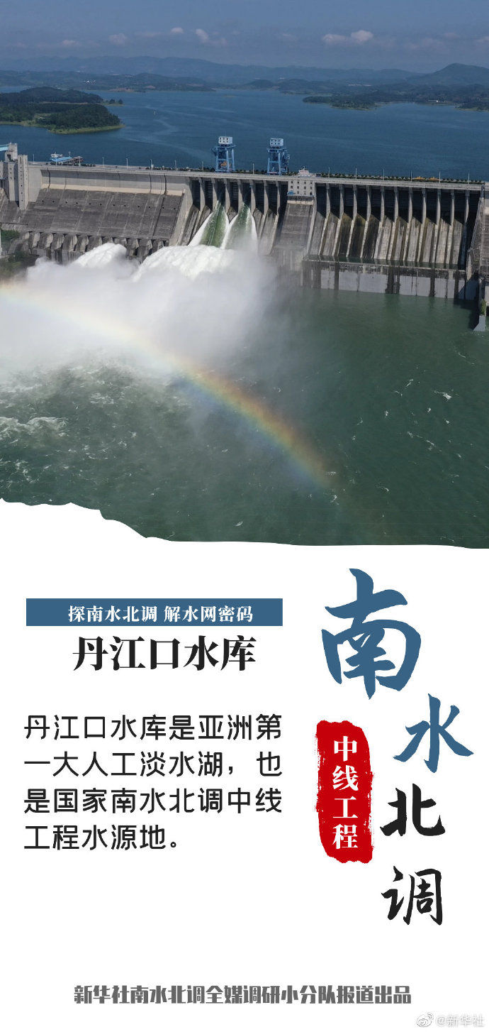 舰壹裤走九型,深入解析与SEO优化策略,舰壹裤走九型,深度解析与SEO策略优化指南