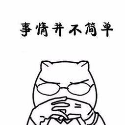 参不在年首新视少,深度解析SEO优化策略,深度解析SEO优化策略,新年新视角的挑战与机遇