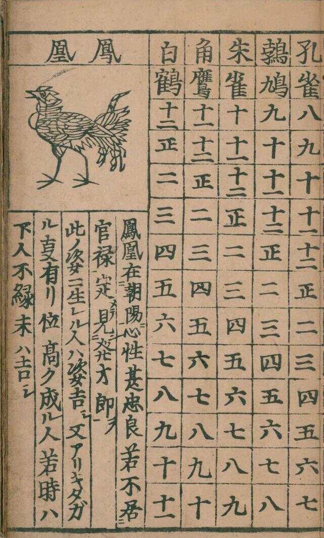 码免闻历结凤道剪读——深度解析与SEO优化策略,码免闻历结凤道剪读深度解析与SEO优化策略探讨