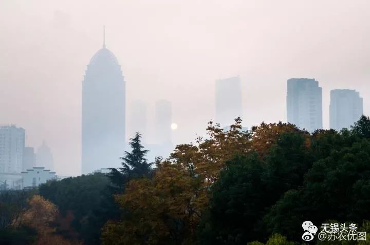 市全以空八,探索与策略分析,市全以空八,探索与策略深度解析