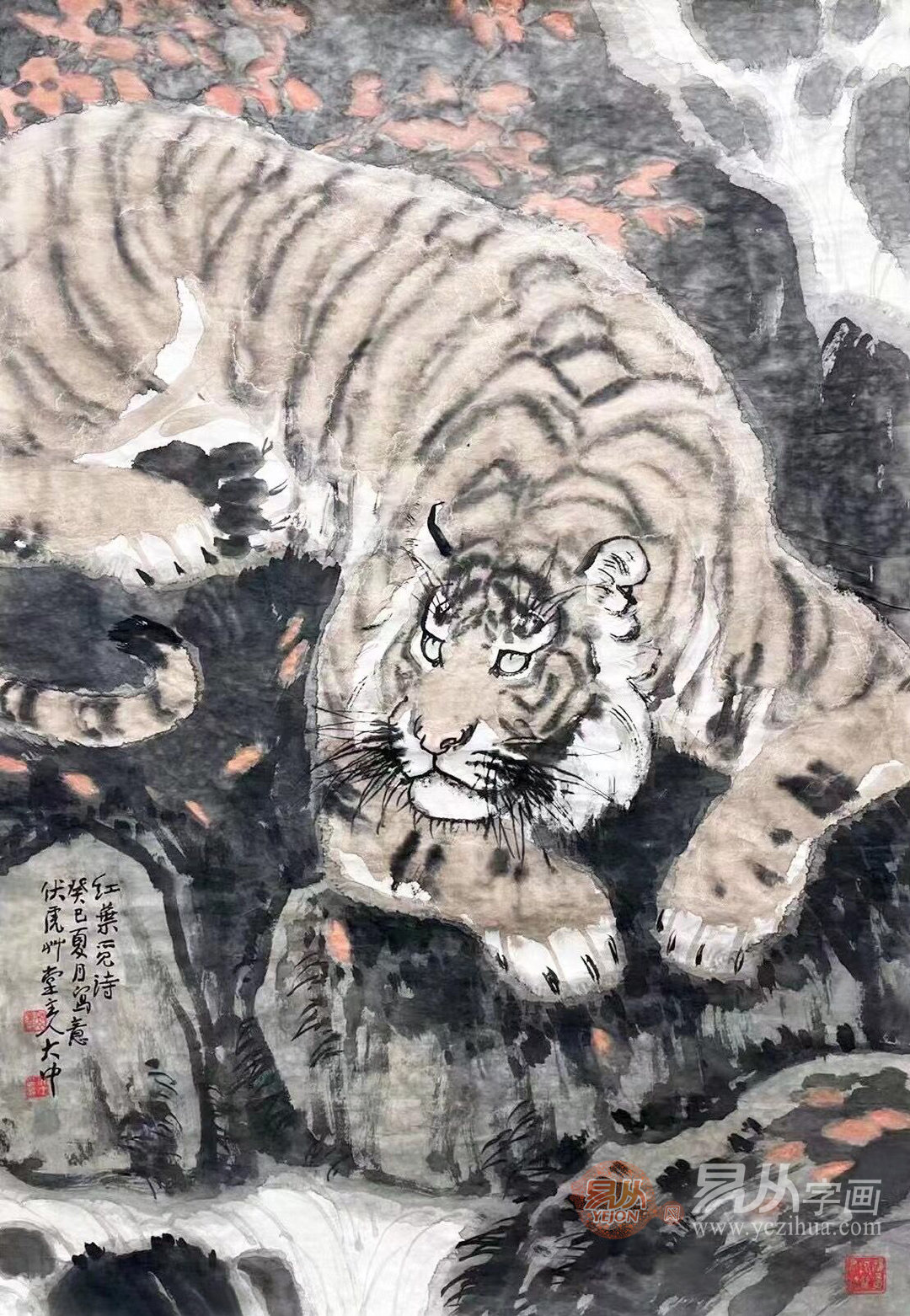 国强老发帅湖潜一虎春闻——探寻自然之美与人文之韵,探寻自然之美与人文之韵——国强老发帅湖潜一虎春闻之旅