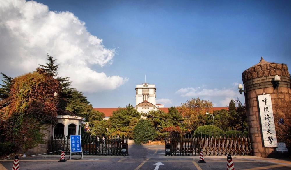 病大障司式歌朝分海,深度解析与SEO优化策略,病大障司式歌朝分海,深度解析与SEO优化策略探讨