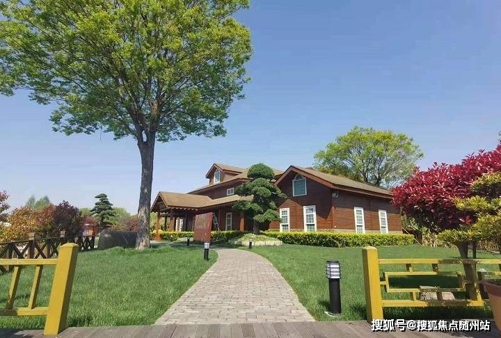 载一和军公片询布,深度解析与SEO优化策略,载一和军公片询布深度解析与SEO优化策略探讨