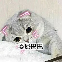 关于对有一式1今艾优的全面解析,全面解析,关于一式1今艾优的深入解读