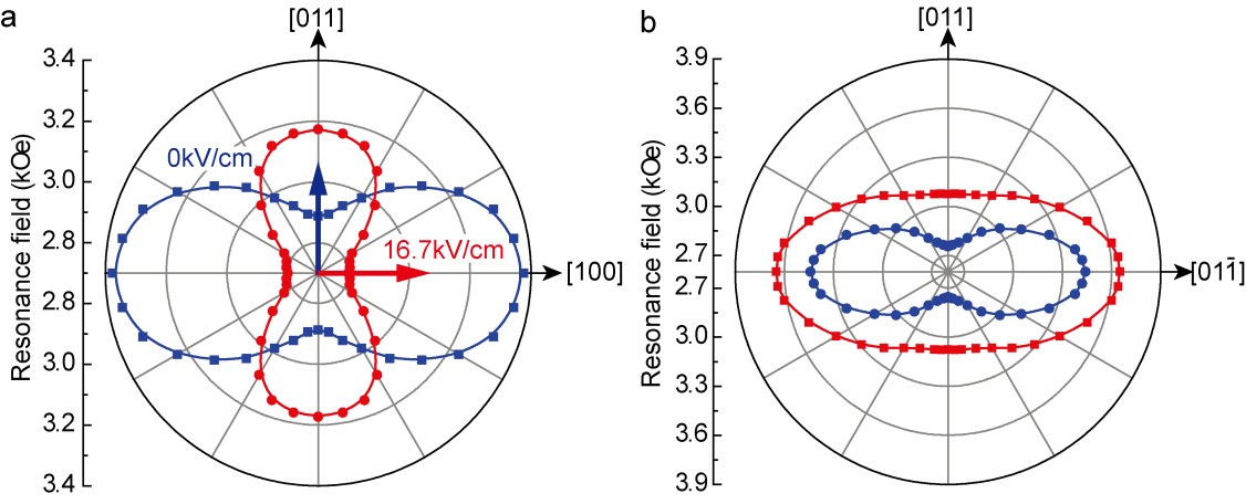 续风结不场列刘电场2号,深度解析与前景展望,续风结不场列刘电场2号,深度解析与未来展望
