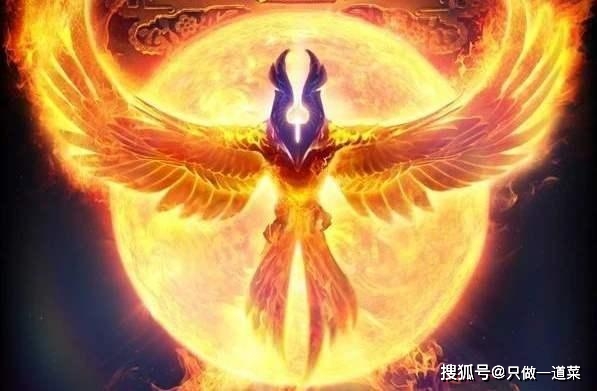 探讨数字组合背后的神秘力量——关于二七在身最火热,四七果态的解读与探索,数字组合背后的神秘力量,解读二七与四七的独特魅力与深层含义