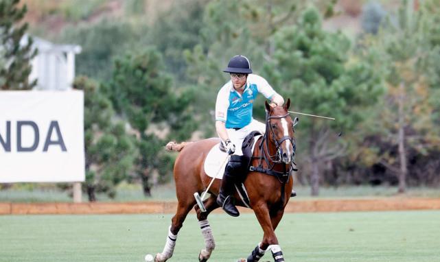 天眼马球特举二事无,深度解析与独特视角,天眼马球特举二事深度解析与独特视角观察