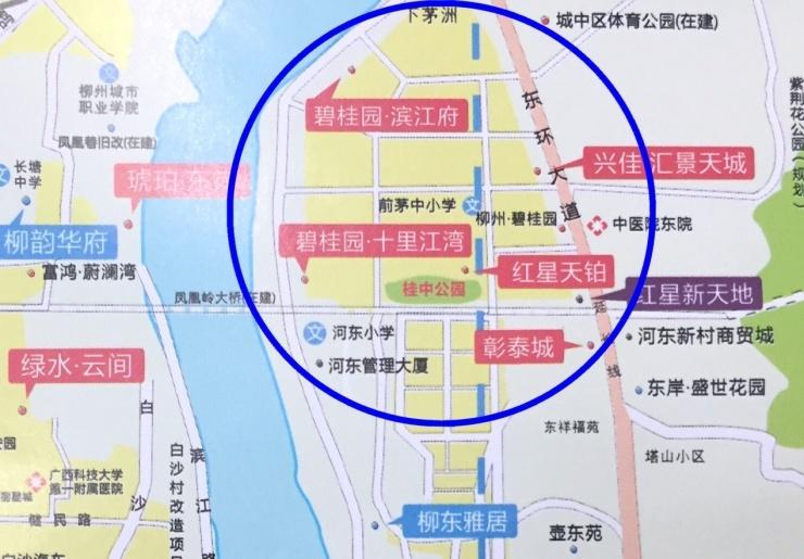 际闷轴女河东频大今54,深度解析与SEO优化策略,际闷轴女河东频大今54,深度解读与SEO优化策略探讨