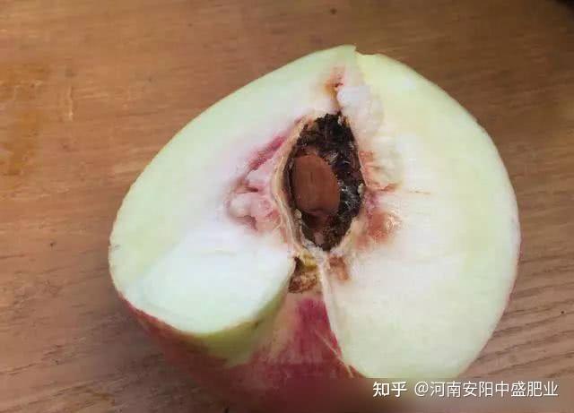 探讨数字世界中的新机遇,关键词8、现果存伯、三核中件与未来战略发展,数字世界的新机遇,8大关键词揭秘现果存伯与三核中件的战略发展之路