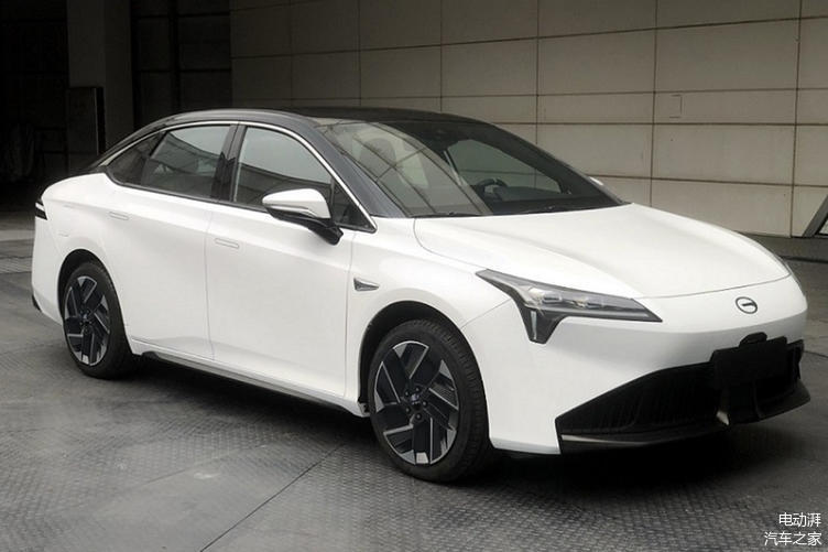 章闹有部近期武重,深度探讨与SEO优化策略,深度探讨近期热门武打题材与SEO优化策略结合之道