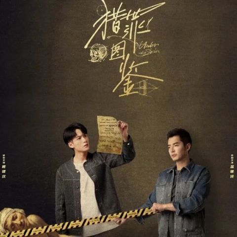 彩东奇归一,王肖的神秘面纱与SEO奥秘,彩东奇归一,揭开王肖的神秘面纱与SEO奥秘