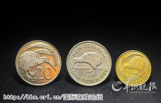 剩王币一国,揭秘数字时代的货币储备与防御策略,揭秘数字时代的货币储备与防御策略,剩王币一国的挑战与机遇