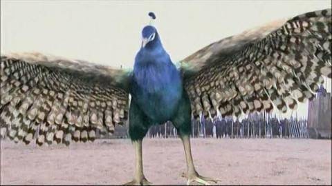 兰丁罗金尾,探寻神秘元素背后的故事与SEO优化策略,兰丁罗金尾背后的神秘元素故事与SEO优化策略探究