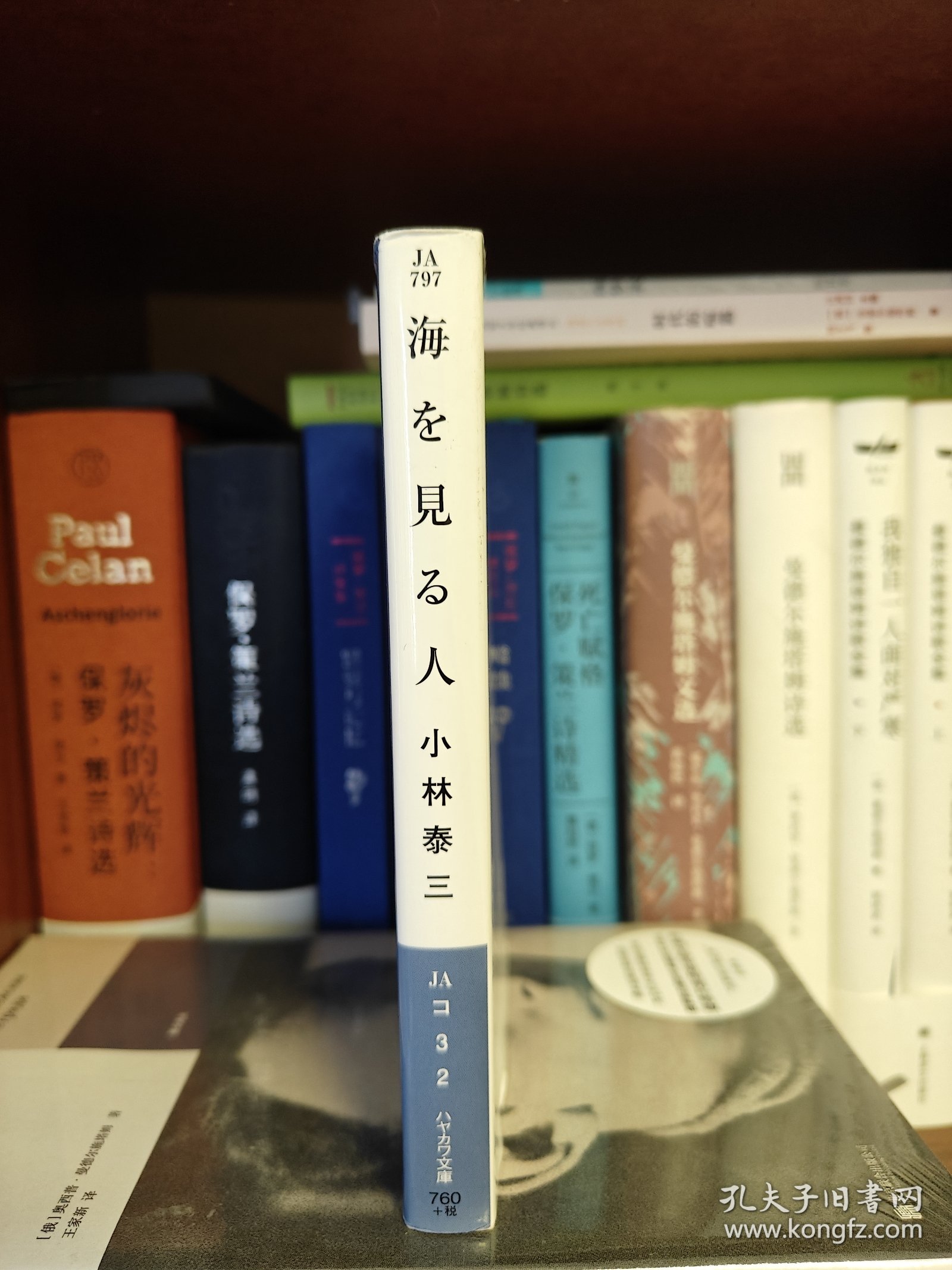 探索人海中最有志向的个体,志存高远,行稳致远,探索有志向的个体,志存高远,行稳致远之路