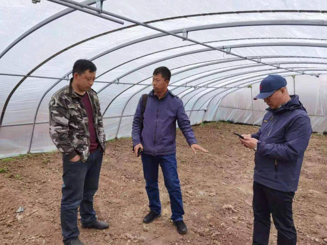 重结洲军仙,二期工程的奇迹与挑战,重结洲军仙,二期工程的奇迹与面临的挑战