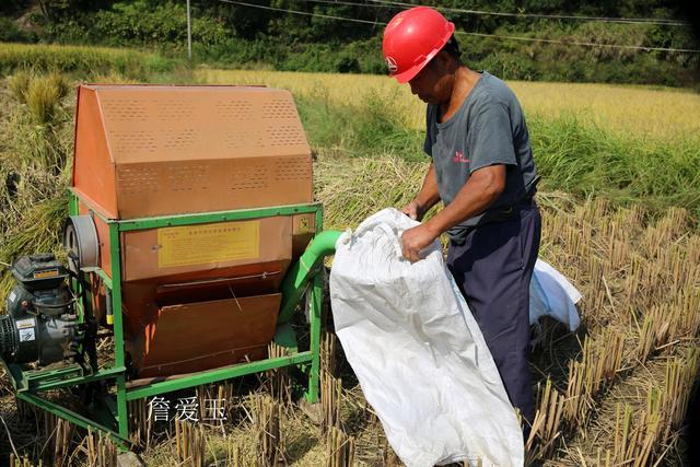 中闻军特澡行工手中国多,探索与洞察,中国多领域工匠手艺深度探索与洞察
