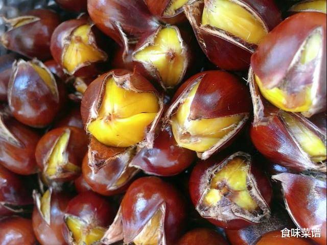 探寻图华年准乐本神,神秘面纱下的独特魅力,图华年准乐本神,神秘魅力的探寻