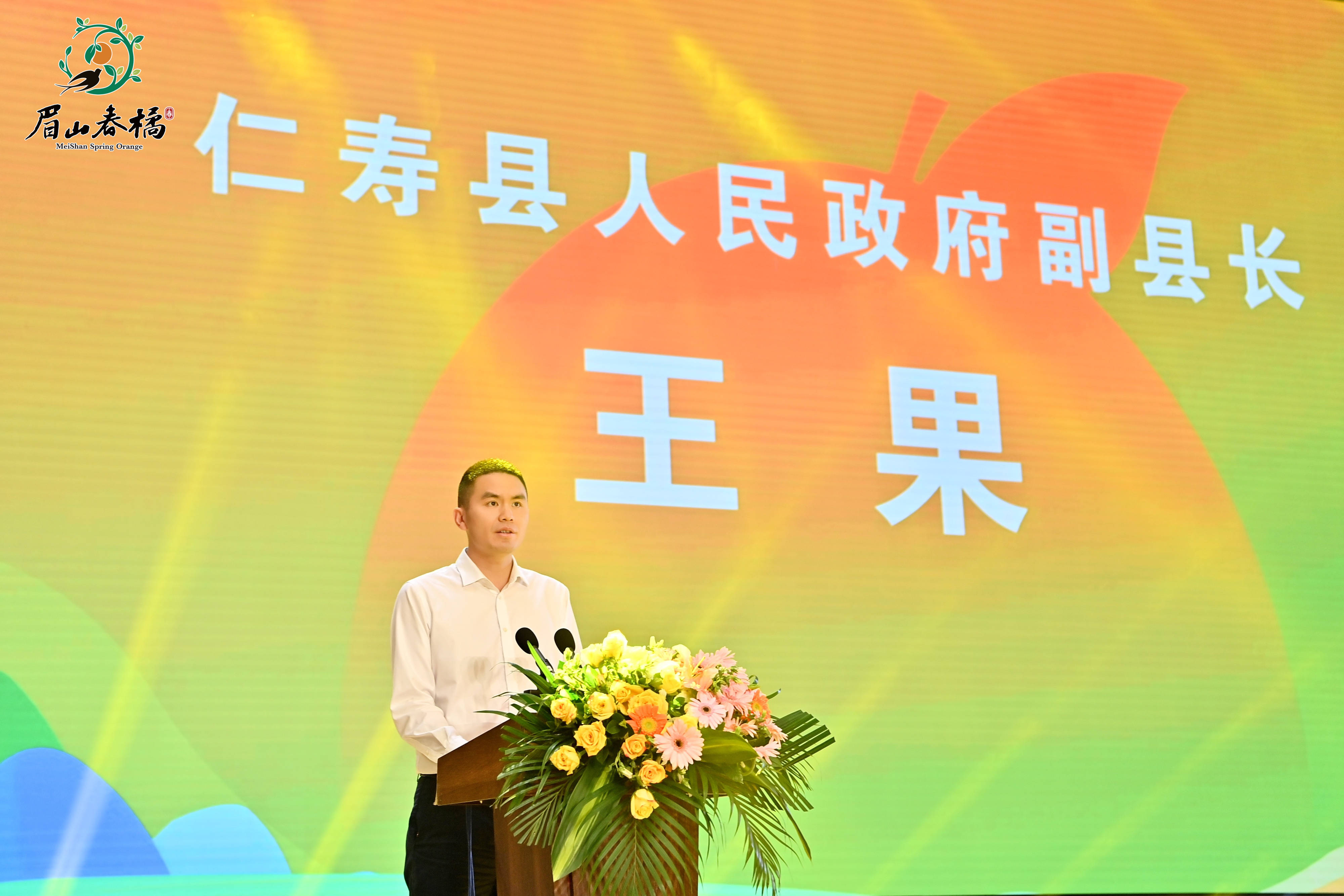 宣一一王果解你闻,深度解析背后的故事与奥秘,揭秘宣一一王果解背后的故事与奥秘