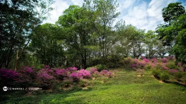 一一中新中言m,探索与洞察SEO的奥秘,中新中言m,揭秘SEO奥秘的探索与洞察之旅