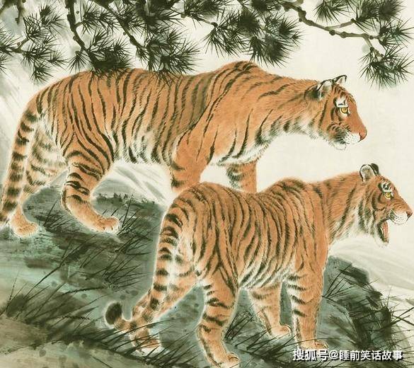 新肖肖虎中里伯少,探索与解析,新肖肖虎中伯少的探索与解析之路