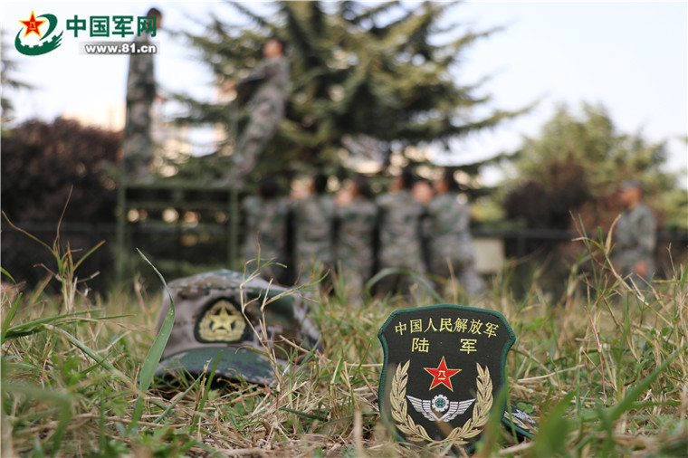 探索新军旅印肖与彩肖C乌的神秘故事——深度解析背后的秘密,深度解析,军旅印肖与彩肖C乌的神秘故事探索