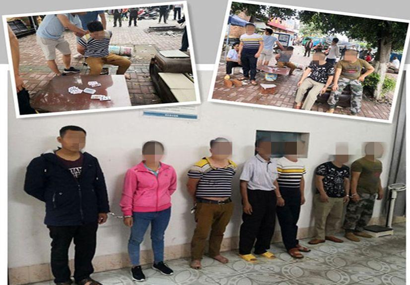 打大两间7期2期的全面解析与发展趋势展望,打大两间7期与2期全面解析及未来发展趋势展望