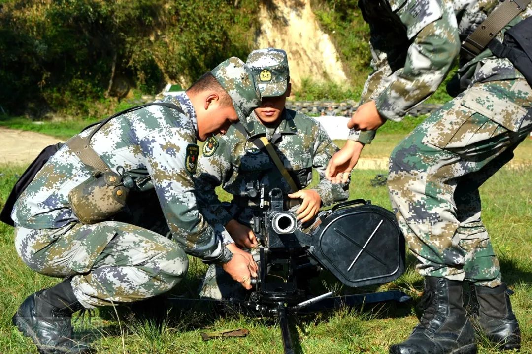 兵2备片5节观，深度解析与SEO优化策略，兵2备片5节深度解析与SEO优化策略探讨