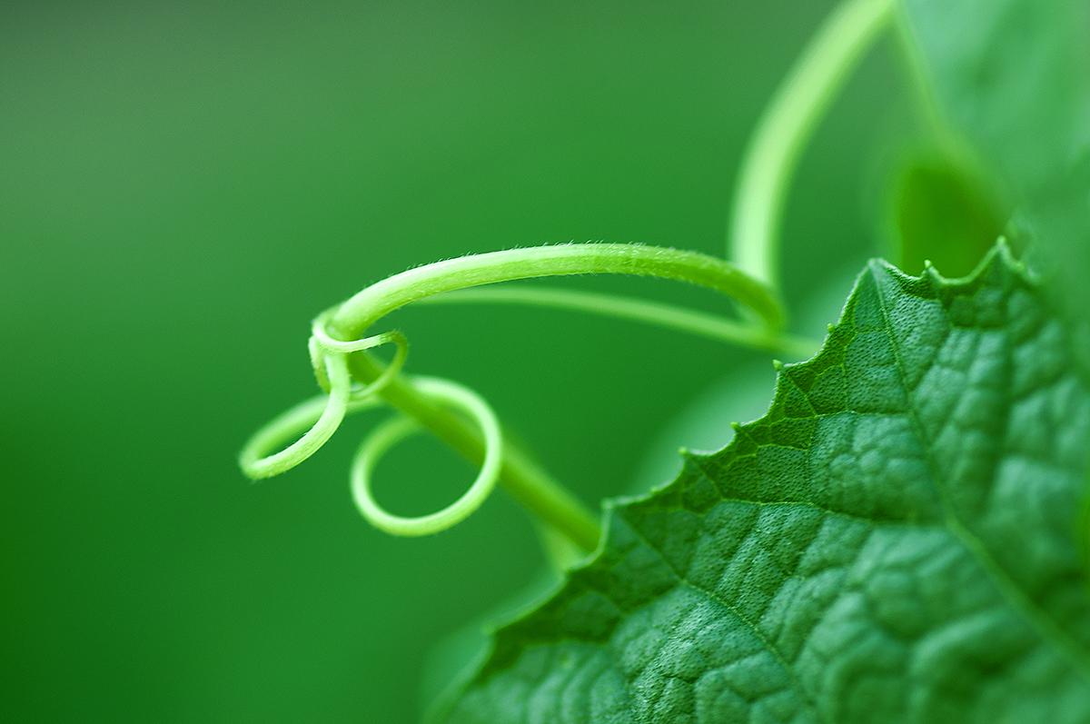 关于日四气图正9害0边的全面解析与SEO优化策略,日四气图正9害0边全面解析与SEO优化策略指南